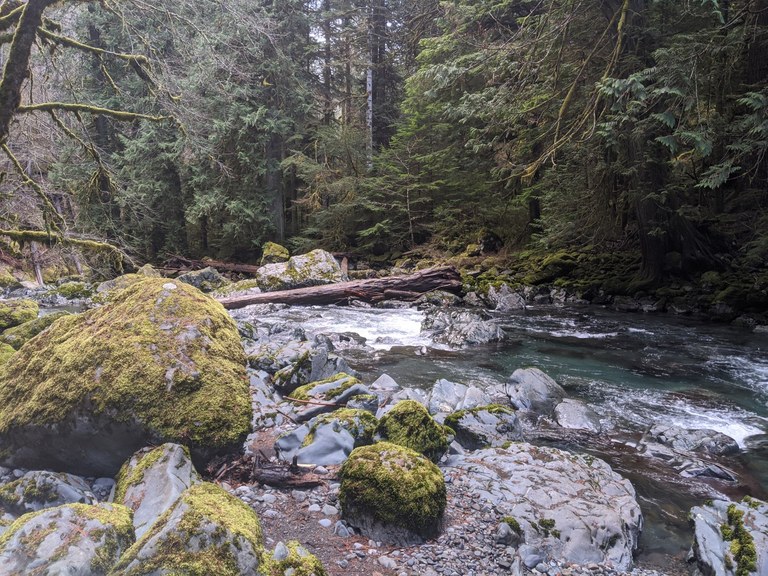 A river runs through mossy rocks and trees. Photo by nschmidt. 