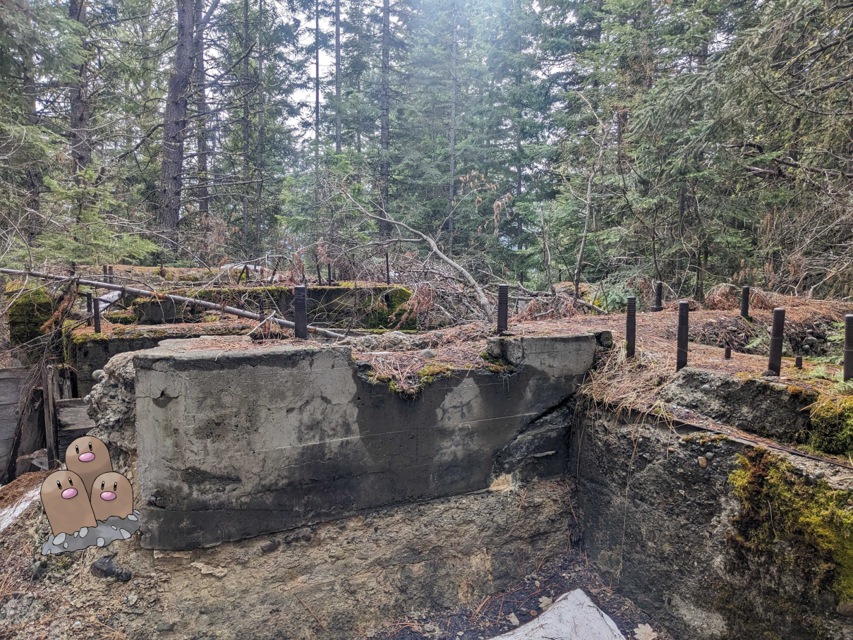 Dugtrio next to an old abandoned mine entrance on the Ewok Trail in Roslyn Urban Forest. Photo by Tiffany Chou.