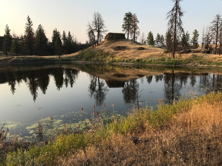A lake is surrounded by golden grass and few trees. Photo by California Girl