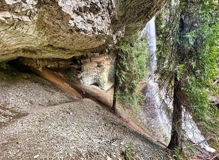 Cathedral Falls on the Goat Creek trail A hiker continues on a somewhat exposed trail behind a waterfall.