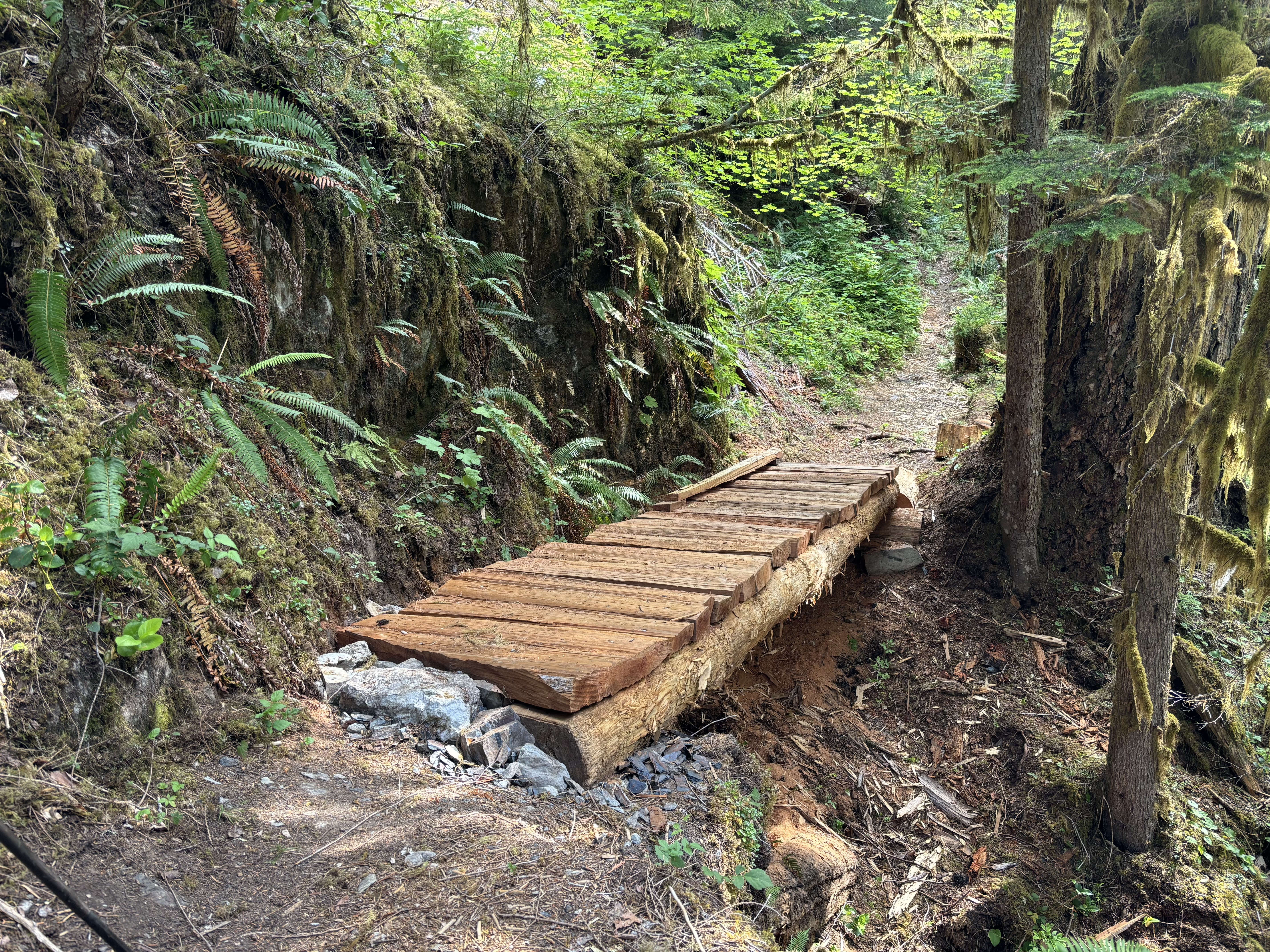 A new footbridge spans a rocky gully on Graves Creek Trail.