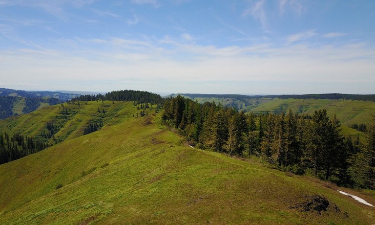 Grouse Mountain by Greg Brown.jpeg