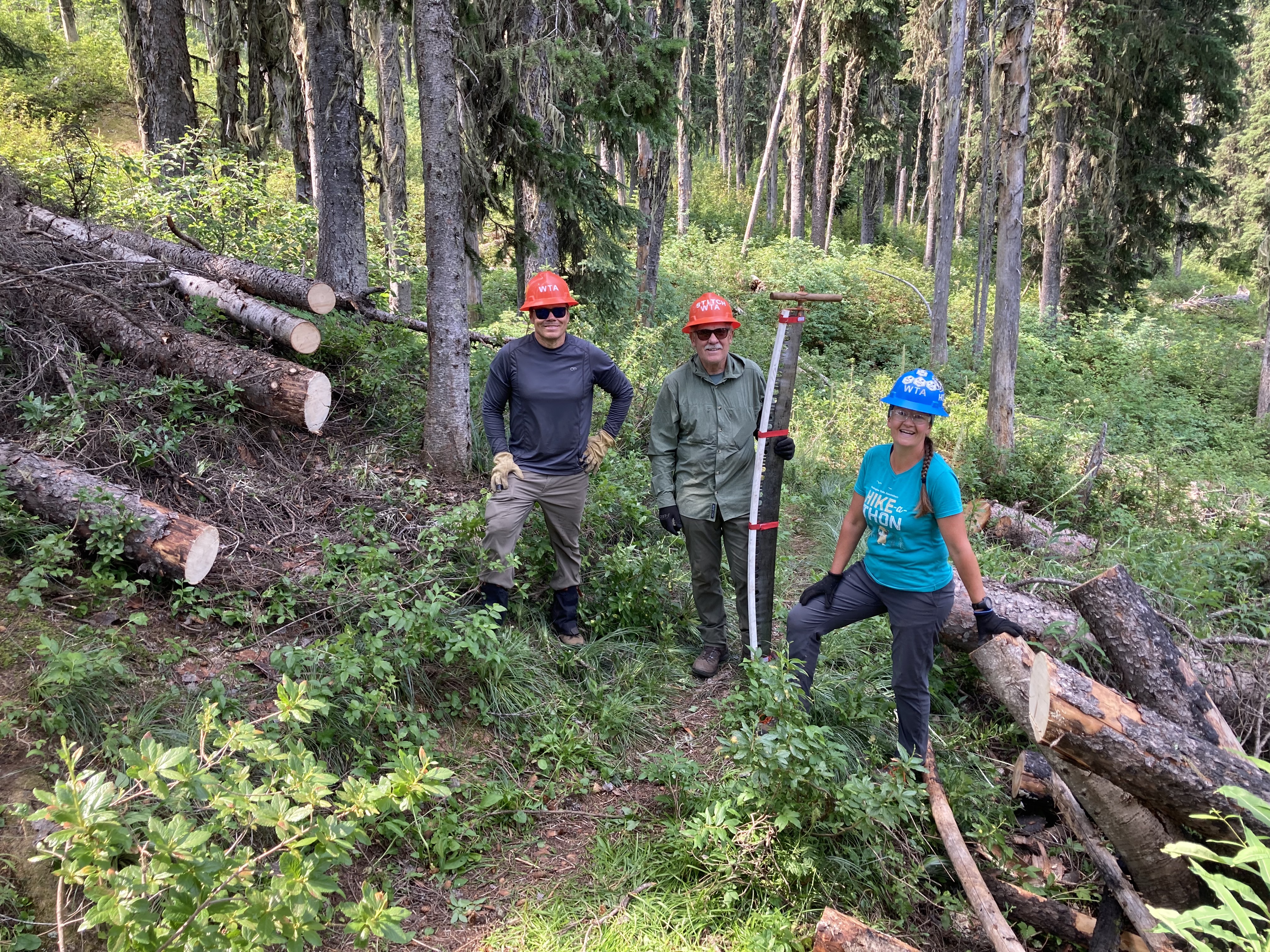 Crew doing logout on Shedroof Divide A crew of three clears a log from across a trail in a lush green forest.
