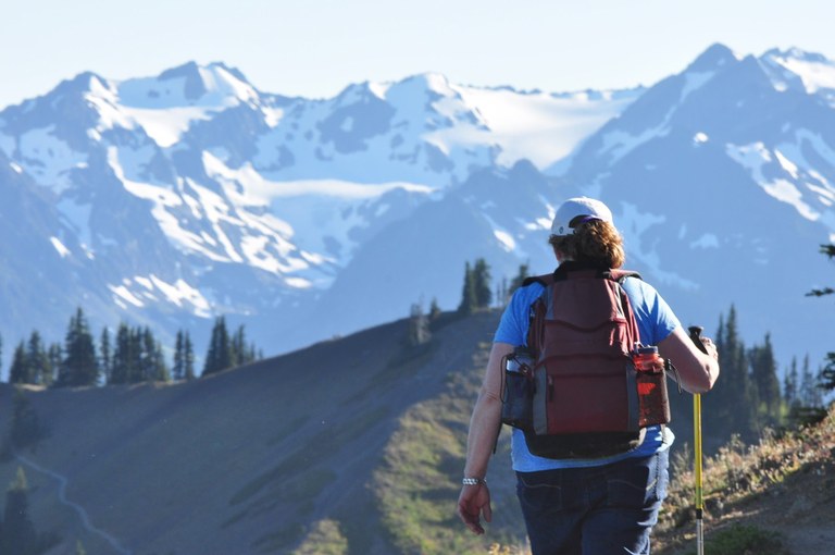 A hiker walks away from the camera on the Klahhane Ridge trail. The snowy Olympic mountains are visible int he background, as is the trail