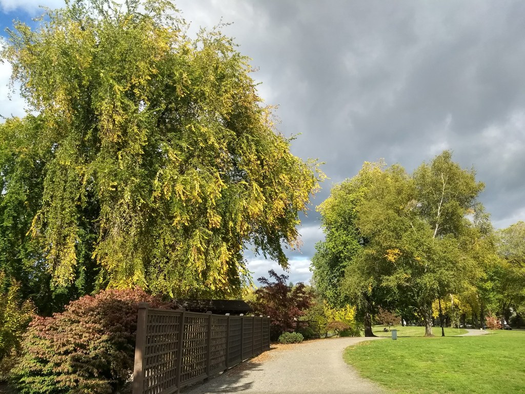 Lake Sacajawea-9.23.2018-nwroth.jpeg