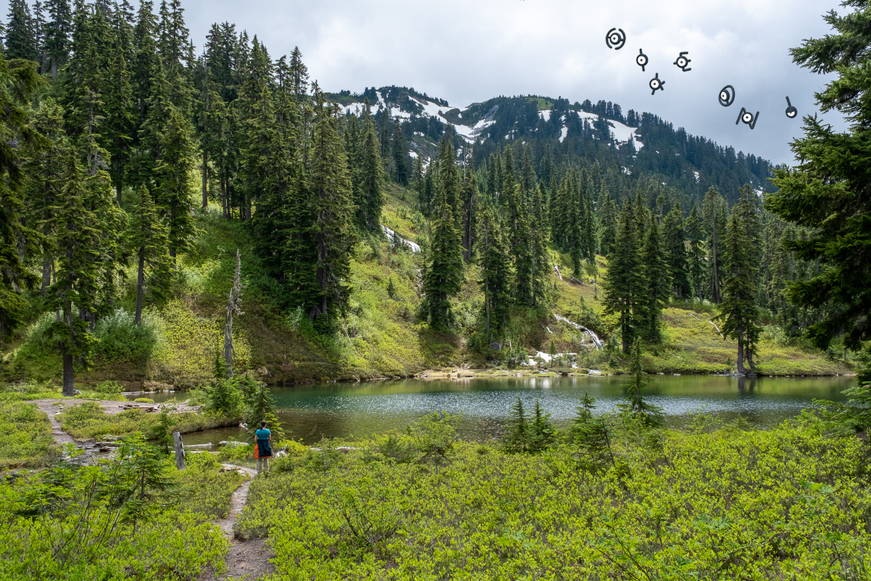 Unown floating above Lower Fortune Ponds on a cloudy day. Photo by hiking into the sunset.