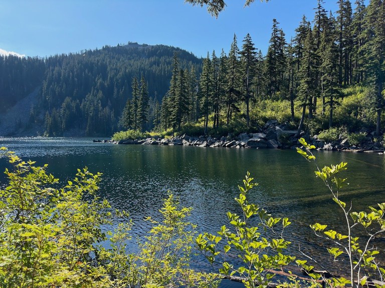 Mason Lake on a sunny day A glassy lake lined with trees against a blue sky