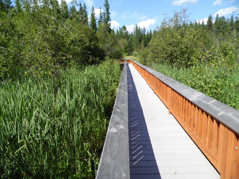 Boardwalk at McDowell A boardwalk through a marshy area.