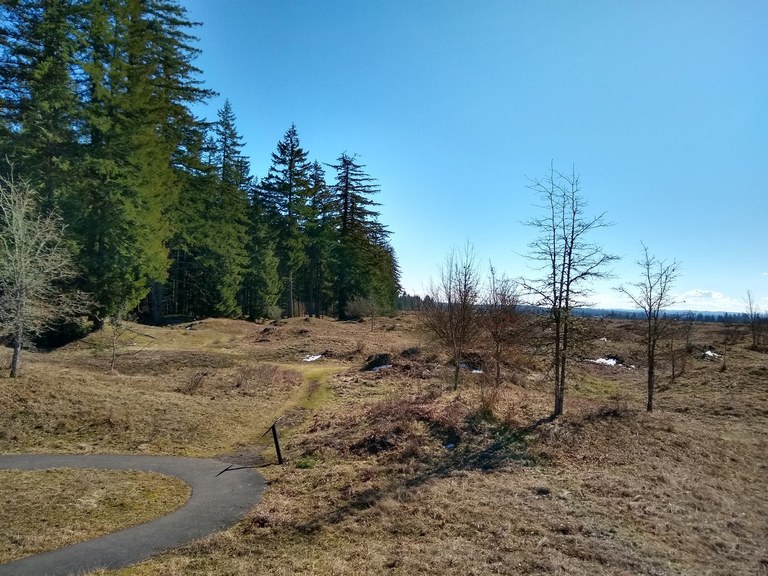 Mima Mounds. Photo by Fishlady.