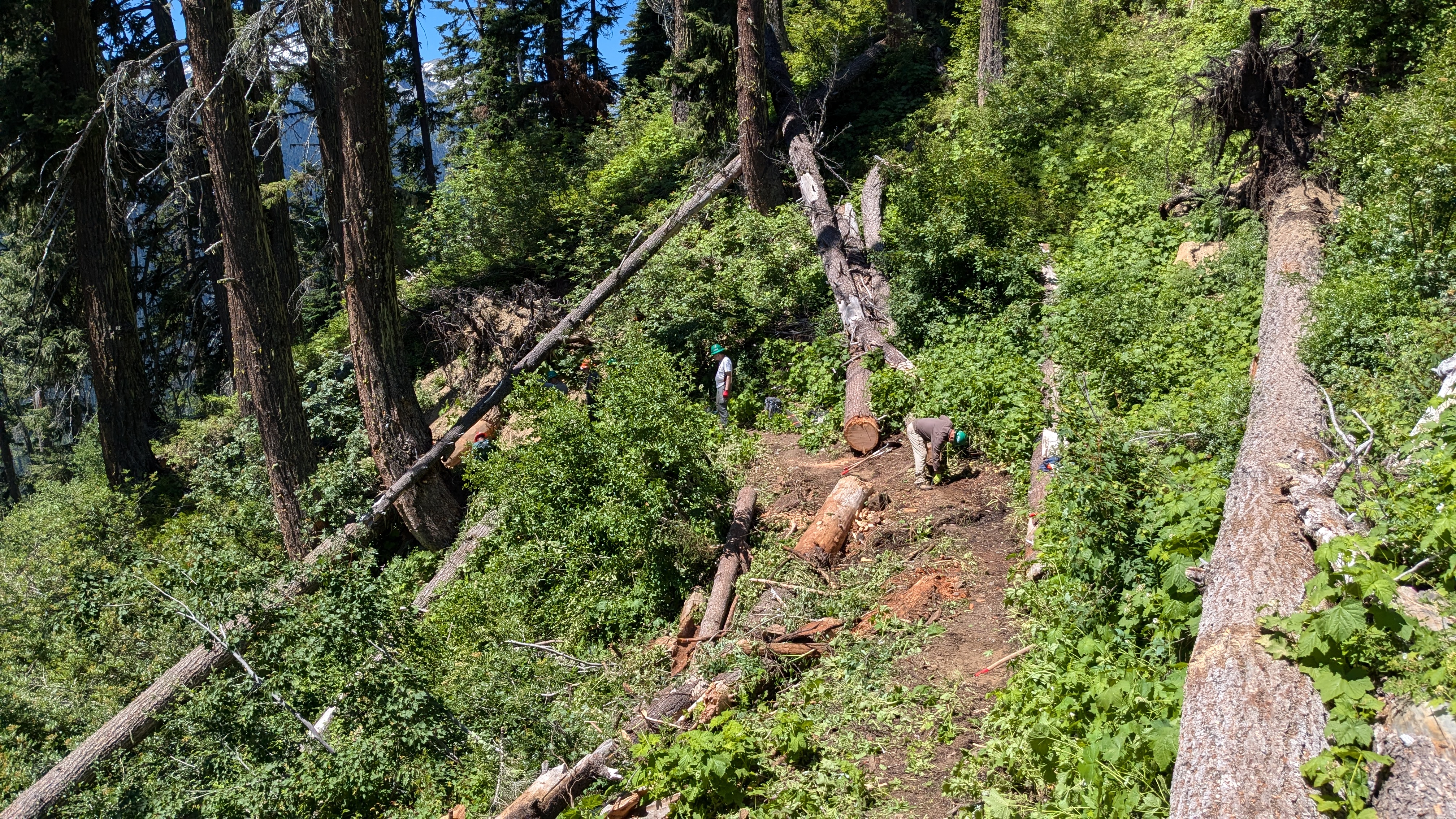 Crew working on Paddy-Go-Easy by Caleb Pilcher A trail crew works on a green hillside with peek-a-boo views of the mountains beyond.