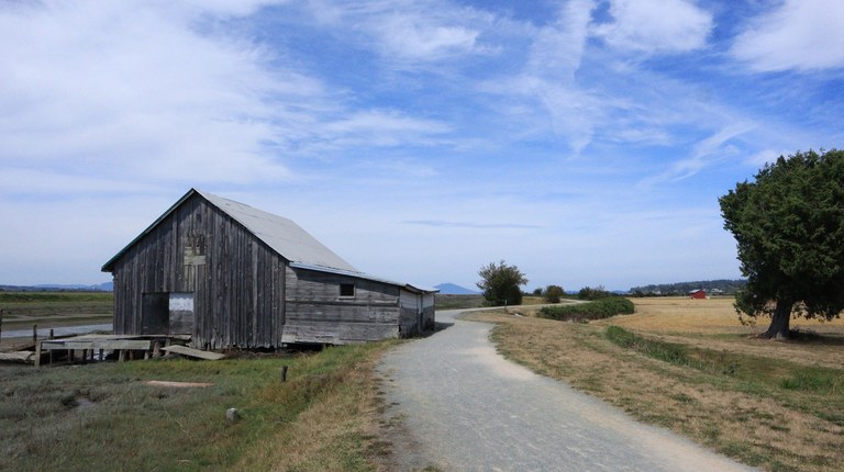 Padilla Bay. Photo by Philosopher.