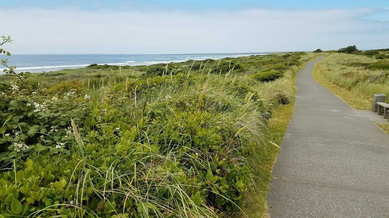 Paved trail along the coast. Photo by Lincoln4.