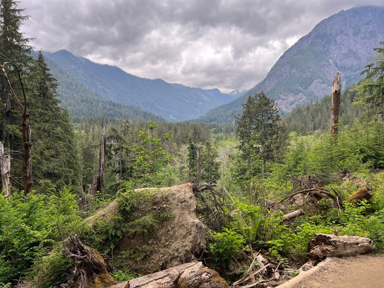 View upvalley on Middle Fork Connector A river valley view with a large waterway, heavy gray clouds and evergreen trees.