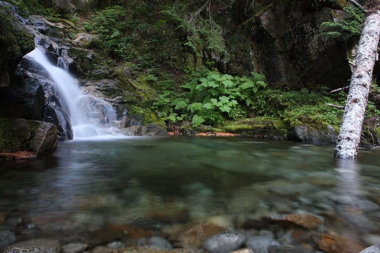 Quartz Creek Photo of a small waterfall into a calm pool of water, green plants in the background