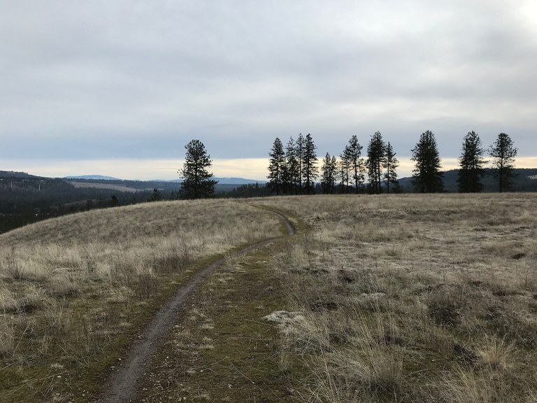 Follow the trail Image: The trail winds through an open plain and leads to a standing of trees.