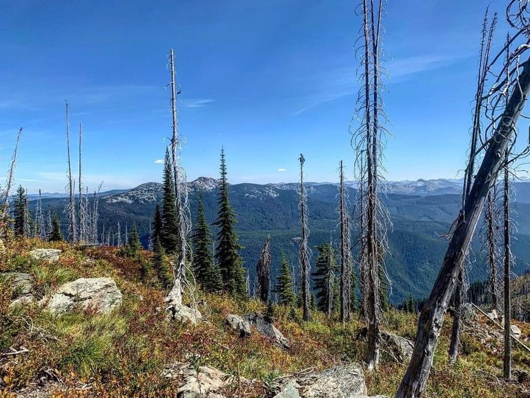 A mountaintop with a burned tree looking out over the valley.
