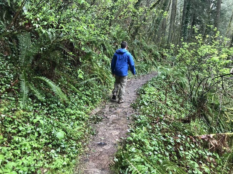 A person in a raincoat walks down a muddy trail in the forest. 