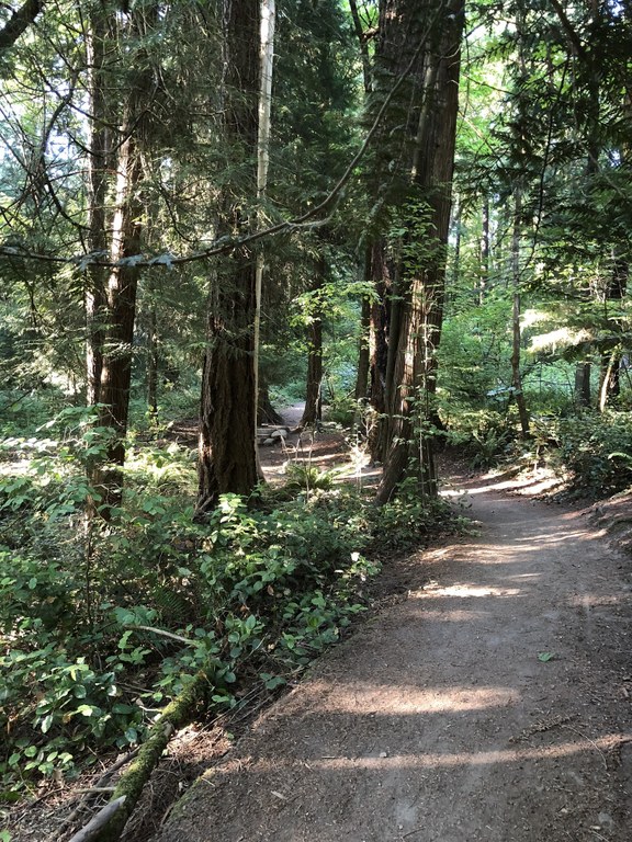 seward park_brad_f.jpeg