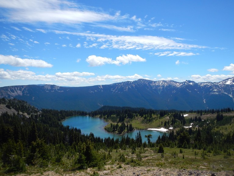 A blue lake surrounded by trees and mountains can be seen in the distance. Photo by Anna Roth.