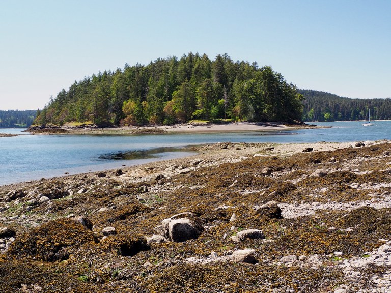 A forested island across a narrow channel of water. 