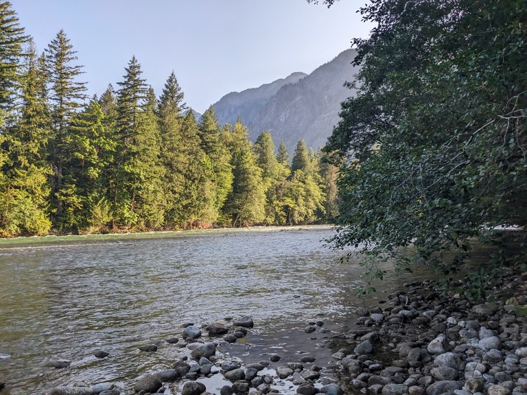 Skagit River Loop Trail Photo of a river with trees on both sides and a mountain view in the background