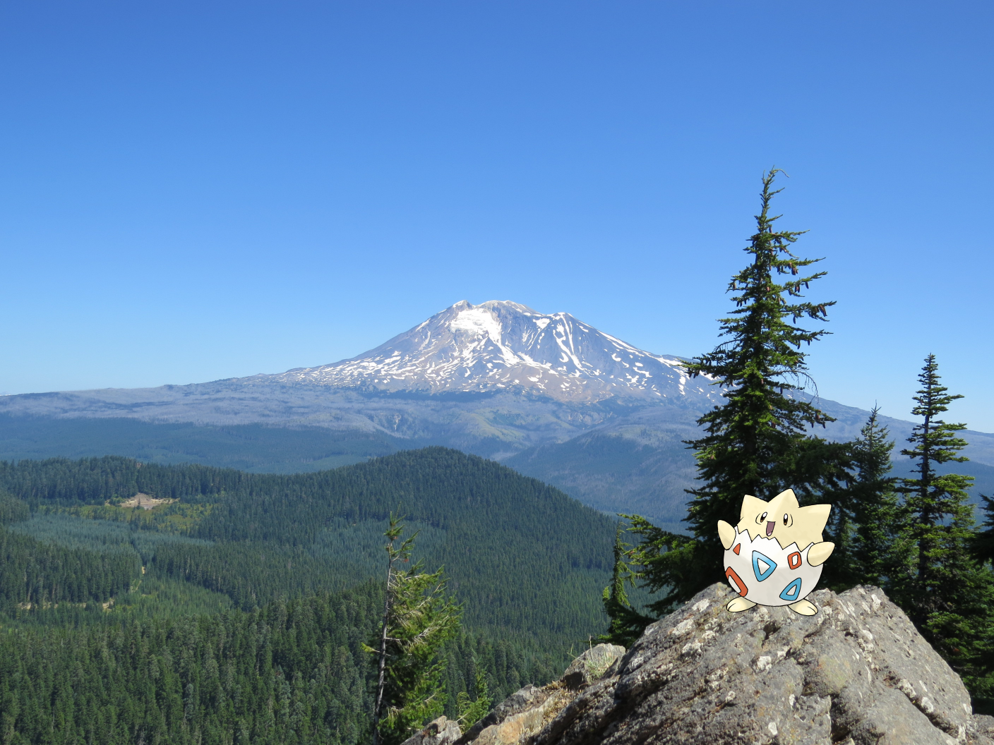 Togepi sitting on a rock on Sleeping Beauty Peak with Mount Adams in the background. Photo by MOBryan.