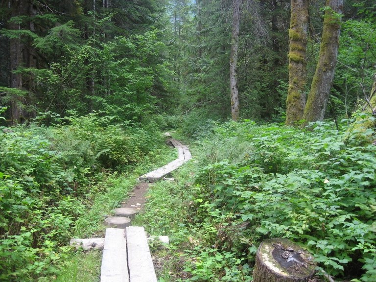 swift creek rolando.jpeg