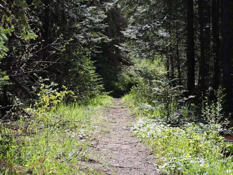 tucannon thetravelingschoonies.jpeg