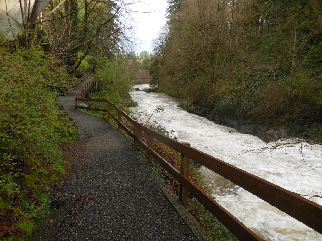 Tumwater Falls Park-3.10.2016-Anna Roth.jpeg