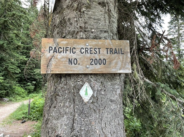 PCT Sign at Union Gap A wooden sign carved with PCT sign and directions is nailed to a tree