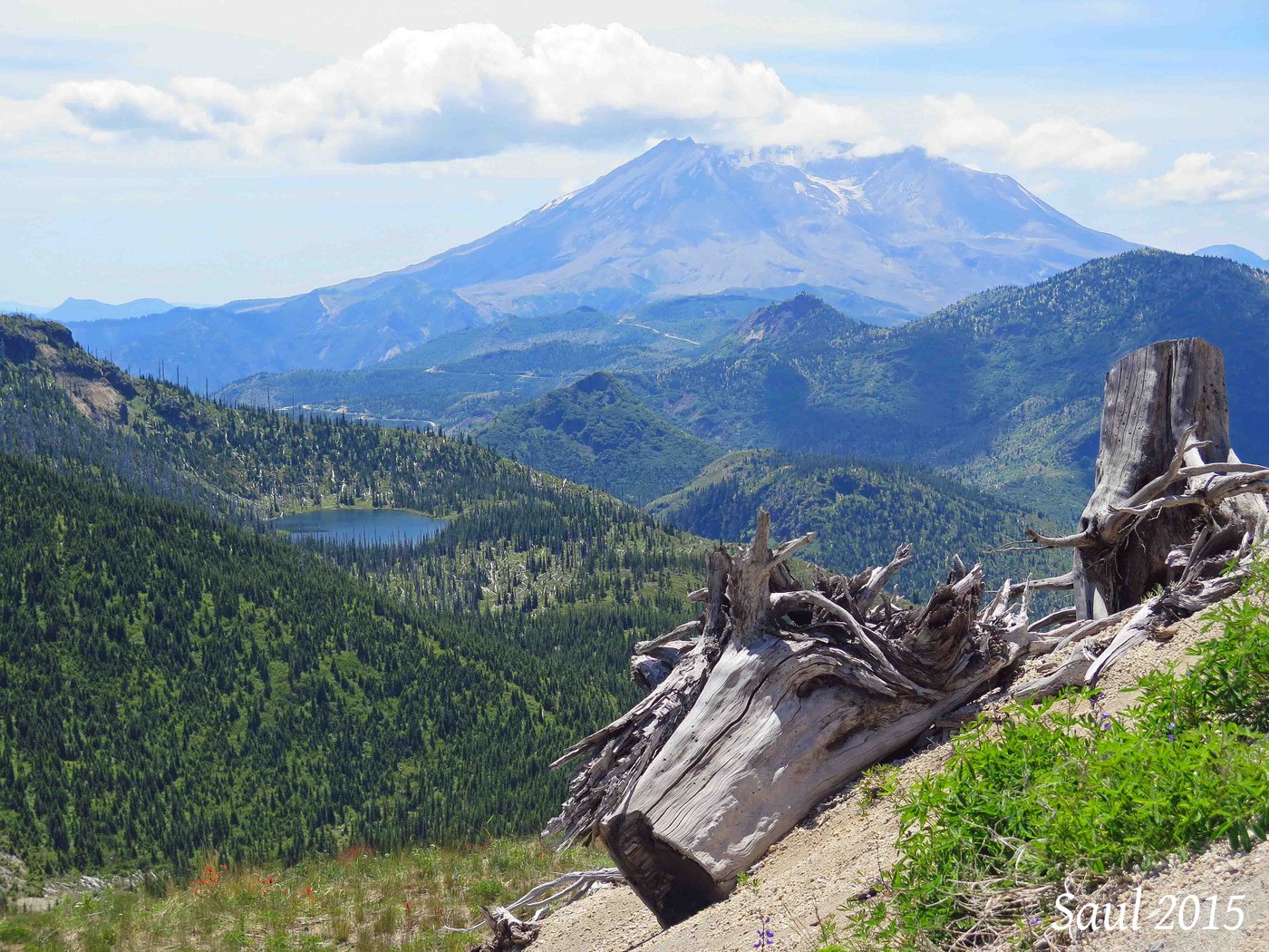 Views from Strawberry Mountain. Photo by Sunrise Creek.