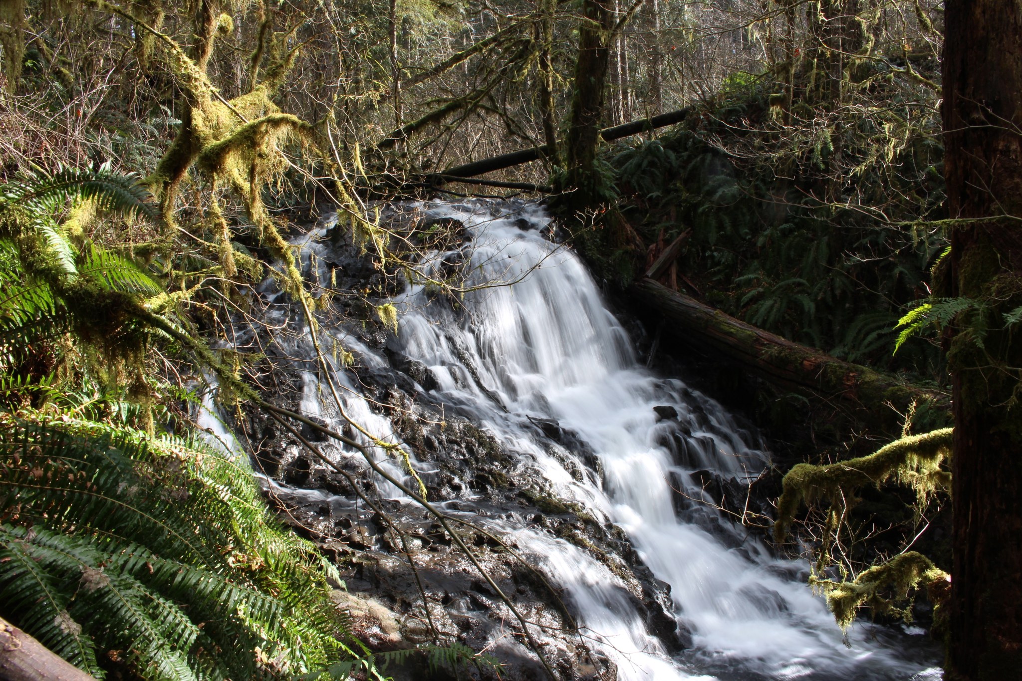 Mima Falls by Geo_Hiker.jpeg