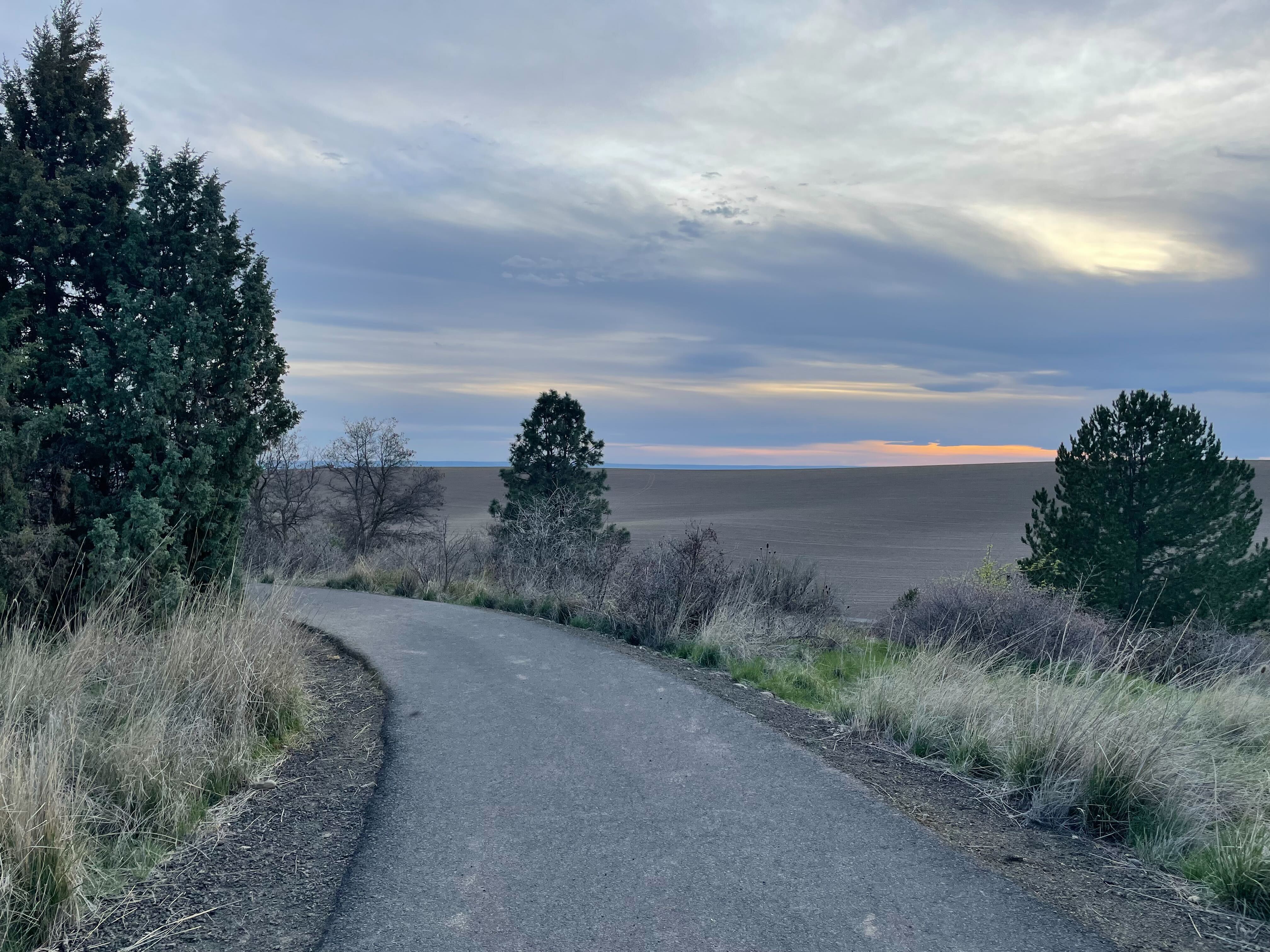 Bennington Lake. Rachel Wendling. Sunset in the distance from the trail at Bennington Lake. Rachel Wendling.