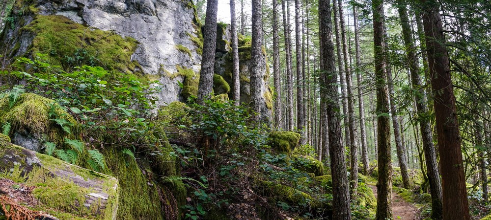 10 winter lowland loops