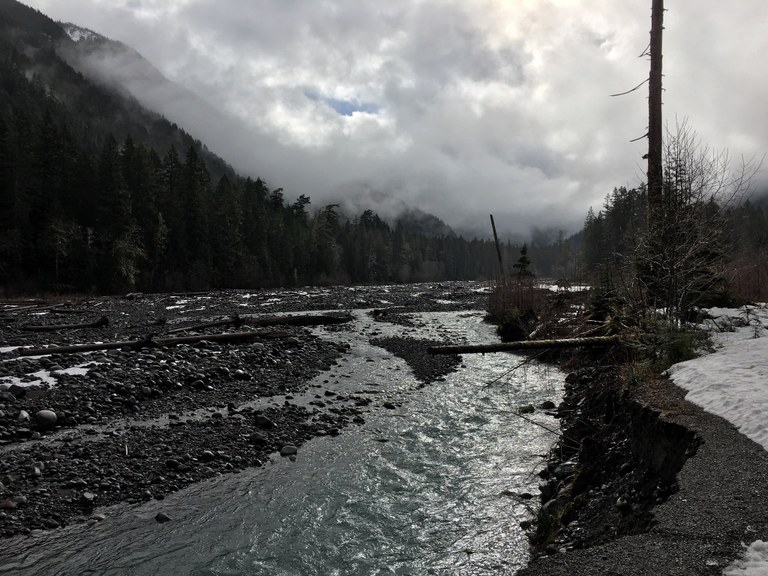 Carbon River to Ipsut Falls by dmbaughman.jpeg