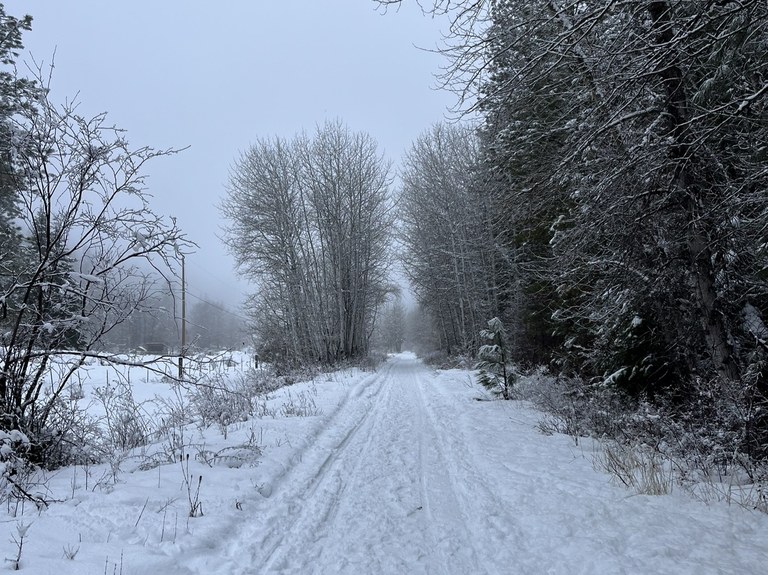 Snow on the Coal Mines trail. Photo by hikingwithlittledogs.
