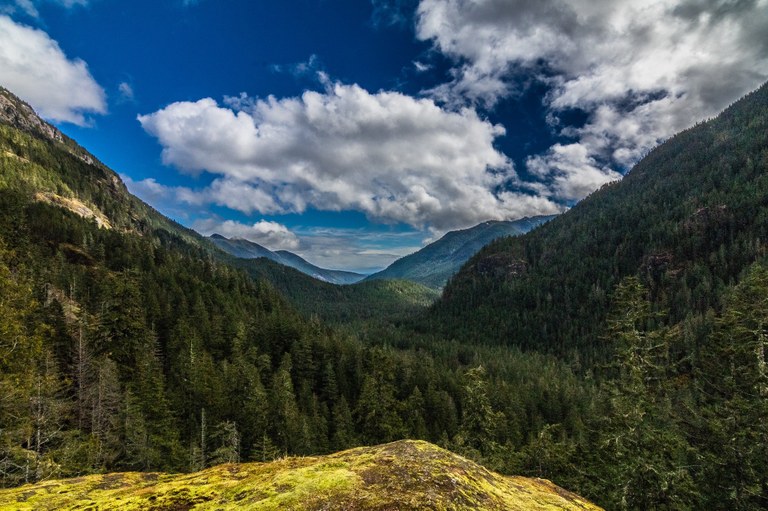 Duckabush River by Mirek.jpeg