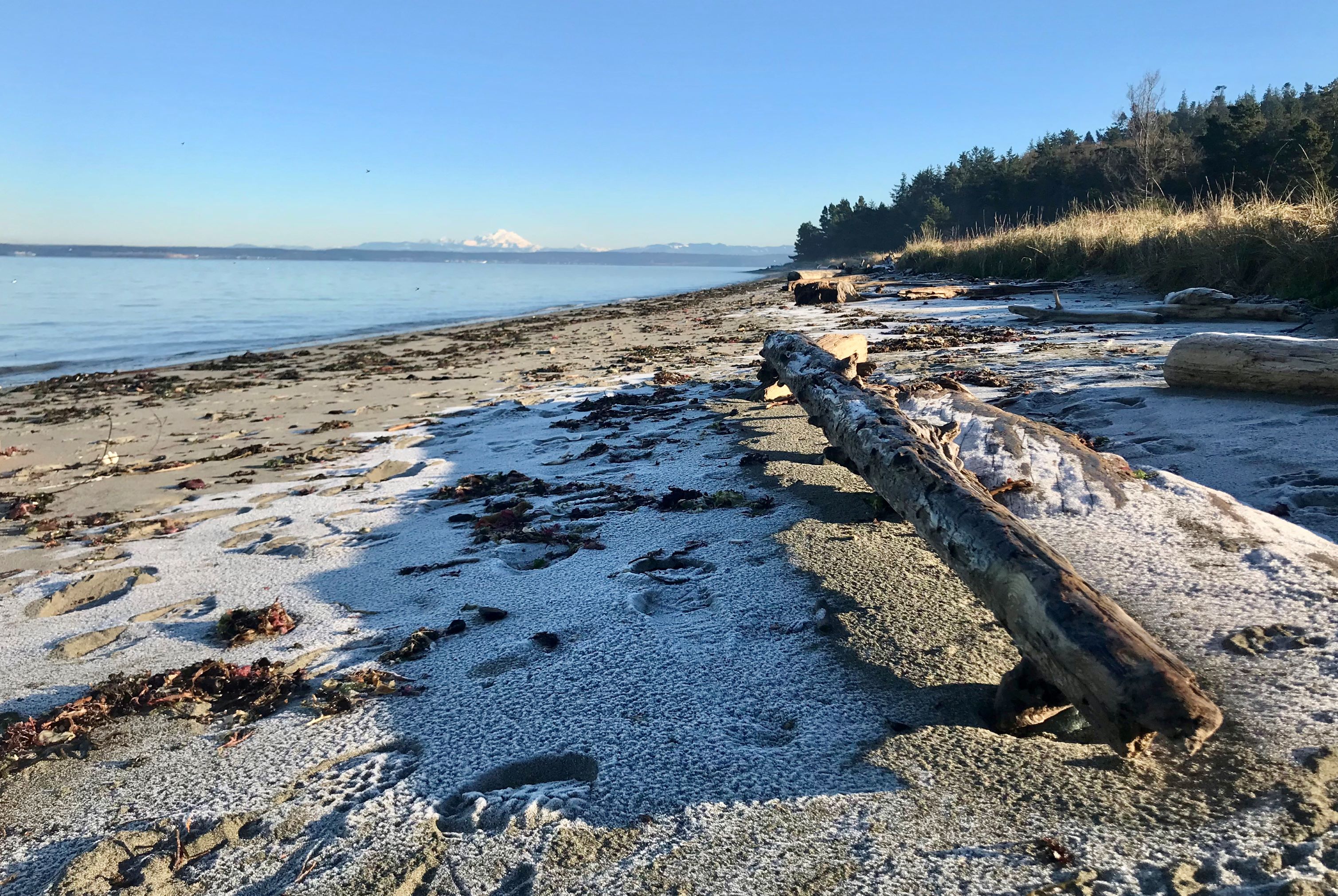A light dusting of snow on the beach at Fort Flagler State Park. Photo by austineats.