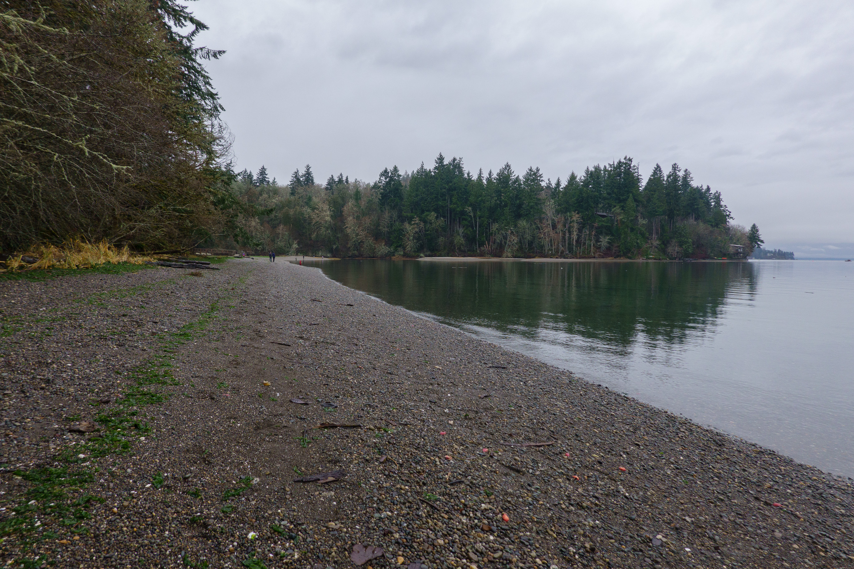 View from the beach at Tolmie State Park - Four Cedars Trail. Photo by ejain.