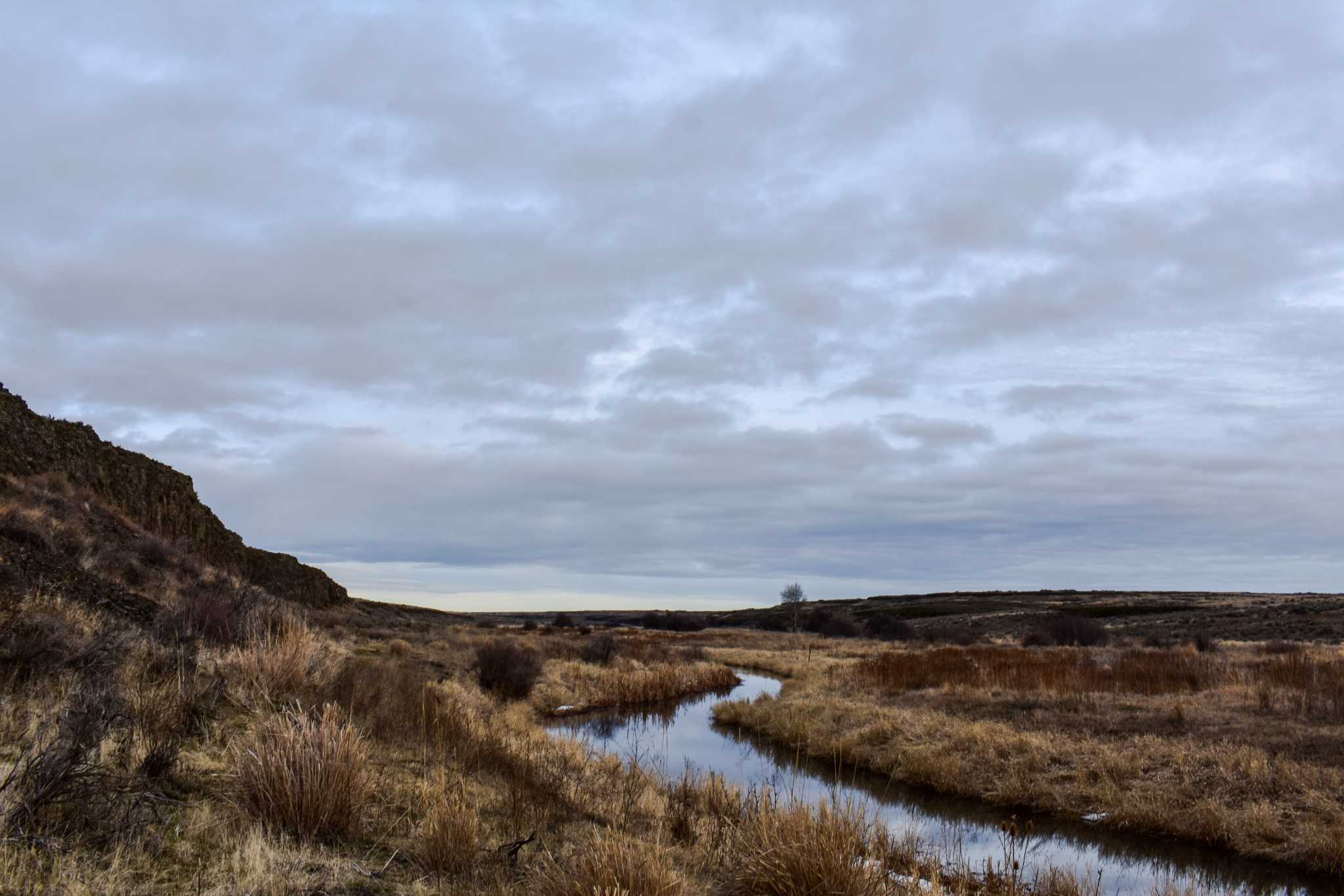 Crab Creek running around Goose Butte. Photo by ATuck.
