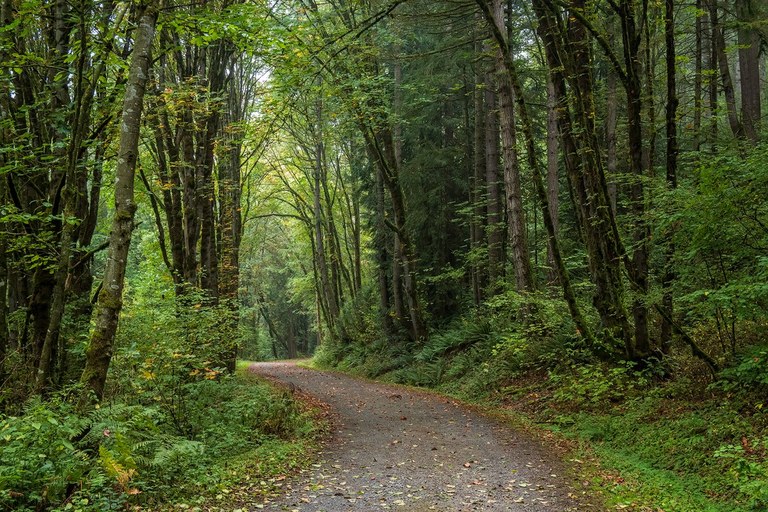 Green River Natural Area. Photo by Marley.
