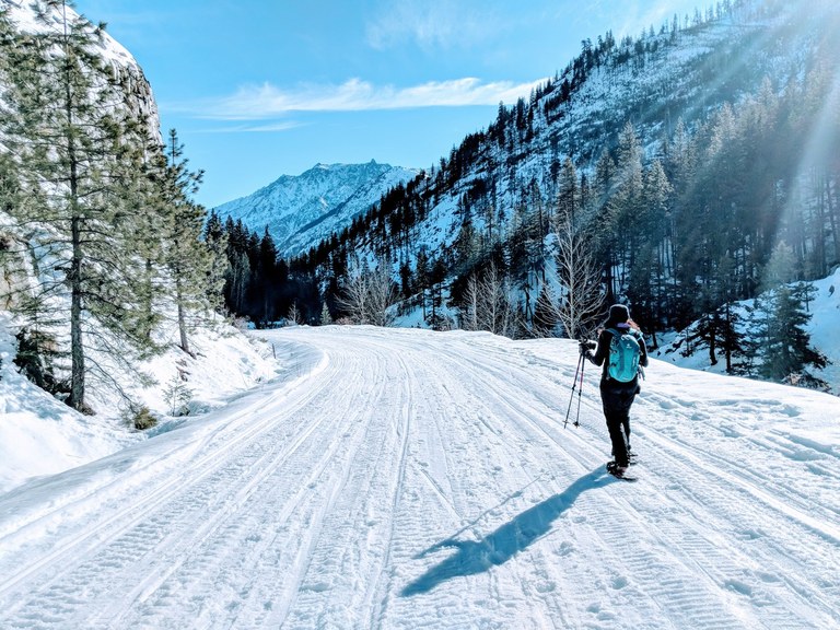 A person snowshoes along a snowy road.