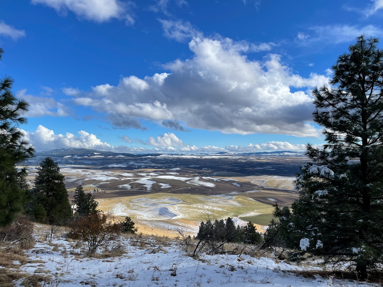 View from Kamiak Butte with a light dusting of snow. Photo by RichP.