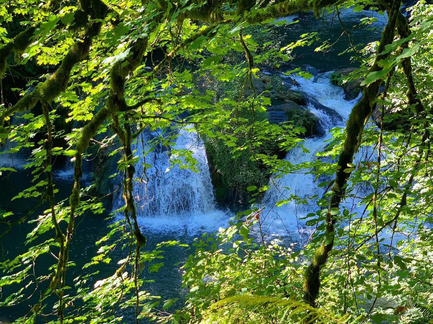 The waterfall seen through the leaves. The waterfall seen through the leaves.