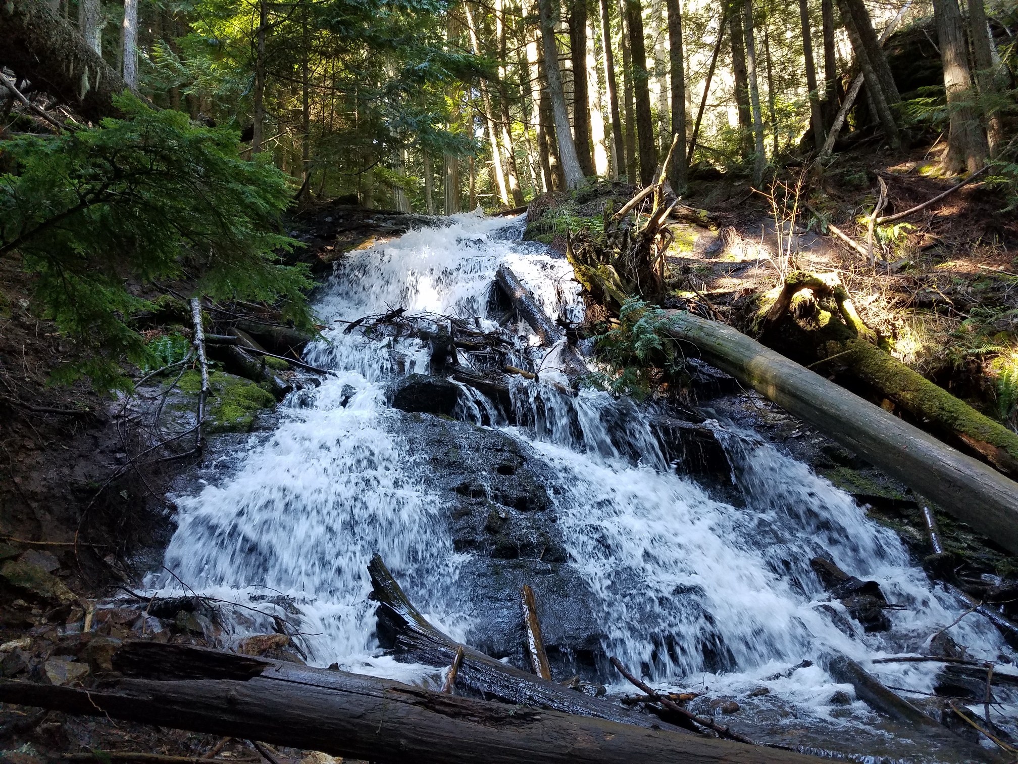 Liberty Creek Falls Liberty Creek Falls spilling through the forest