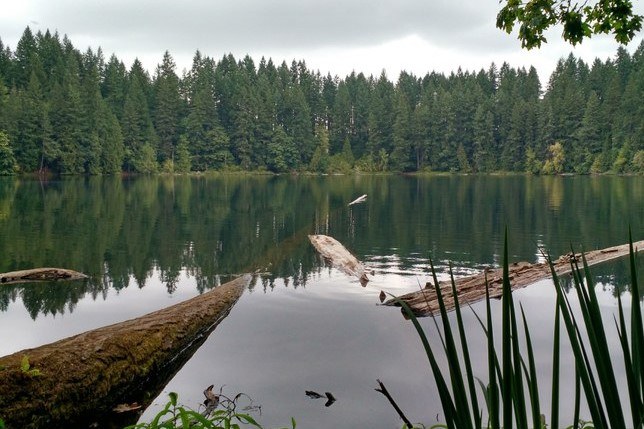 Lower Lake by rosemarylp.jpeg