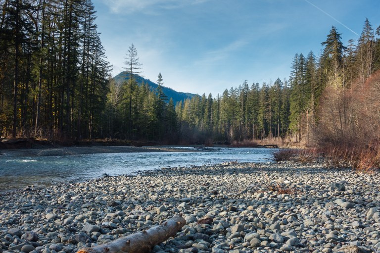 Lower South Fork Skokomish by elevatedtv.jpeg