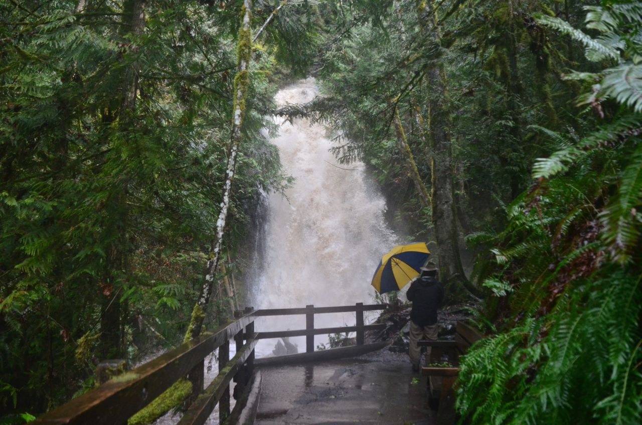 A hiker holds up an umbrella at an overlook of a gushing waterfall. 