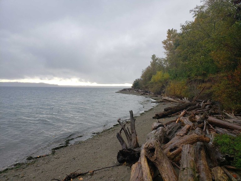 Maury Island Marine Park. Photo by Spartin253.