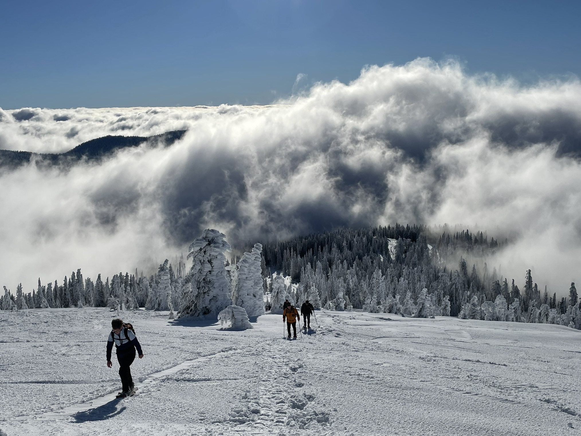 A lot of snow on the Mount Spokane State Park - Snowshoe Summit Route. Photo by Holly Weiler.
